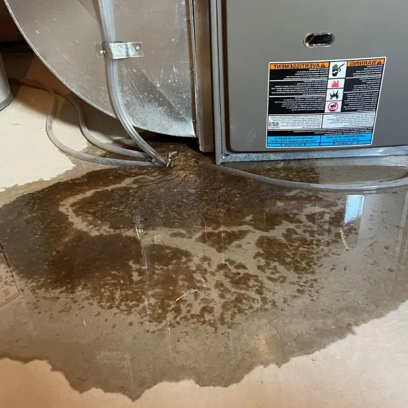 Pipe Burst and Leak Restoration in City of Bedford, VA