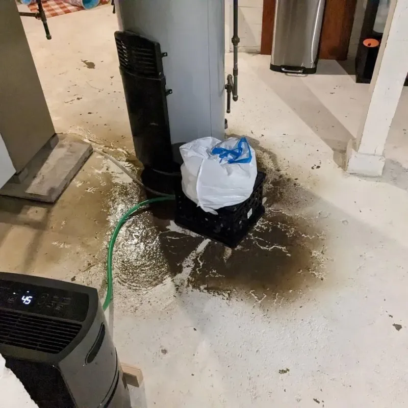 Sewage Backup Cleanup Service in City of Bedford, VA